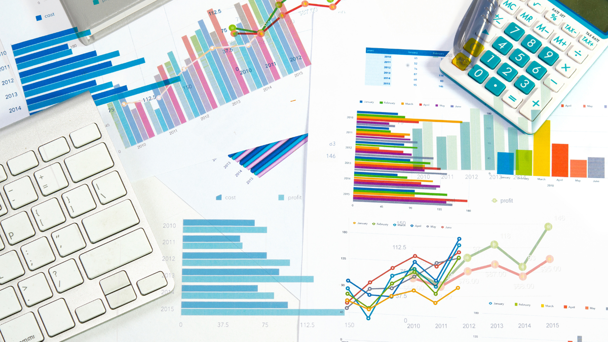 Market Pulse – August 2024 Edition